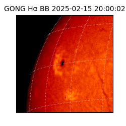 gong - 2025-02-15T20:00:02