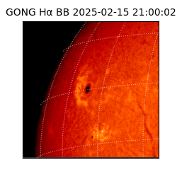 gong - 2025-02-15T21:00:02