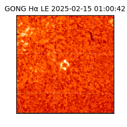 gong - 2025-02-15T01:00:42