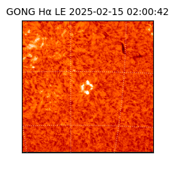 gong - 2025-02-15T02:00:42