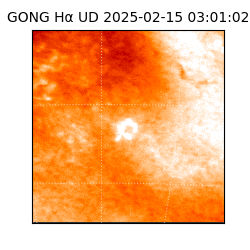 gong - 2025-02-15T03:01:02