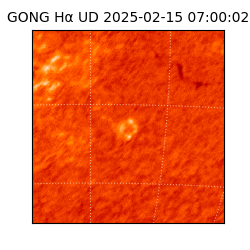 gong - 2025-02-15T07:00:02