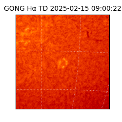 gong - 2025-02-15T09:00:22