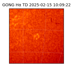 gong - 2025-02-15T10:09:22