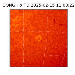 gong - 2025-02-15T11:00:22