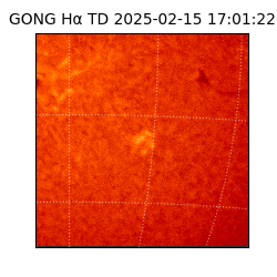 gong - 2025-02-15T17:01:22