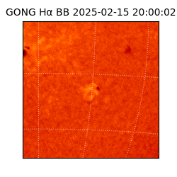 gong - 2025-02-15T20:00:02