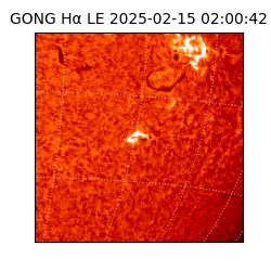 gong - 2025-02-15T02:00:42