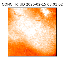 gong - 2025-02-15T03:01:02