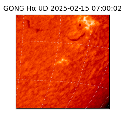gong - 2025-02-15T07:00:02