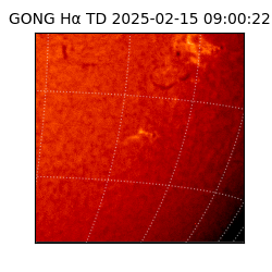 gong - 2025-02-15T09:00:22