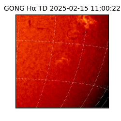 gong - 2025-02-15T11:00:22