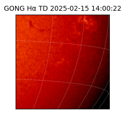 gong - 2025-02-15T14:00:22