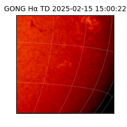 gong - 2025-02-15T15:00:22