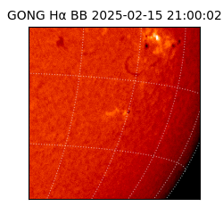 gong - 2025-02-15T21:00:02
