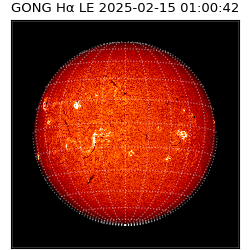 gong - 2025-02-15T01:00:42