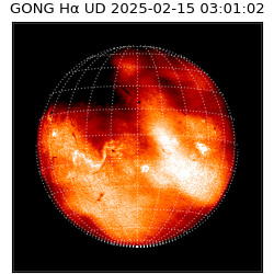 gong - 2025-02-15T03:01:02