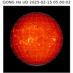 gong - 2025-02-15T05:00:02