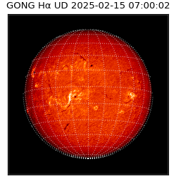 gong - 2025-02-15T07:00:02