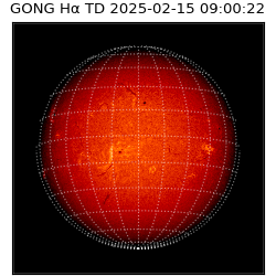 gong - 2025-02-15T09:00:22