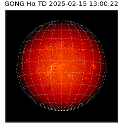 gong - 2025-02-15T13:00:22