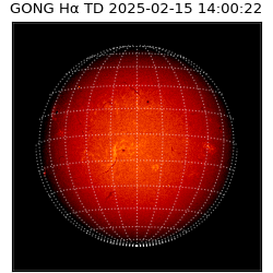 gong - 2025-02-15T14:00:22