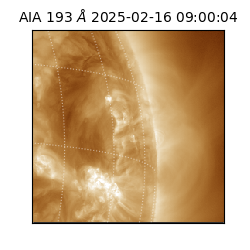 saia - 2025-02-16T09:00:04.843000