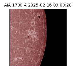 saia - 2025-02-16T09:00:28.720000