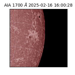 saia - 2025-02-16T16:00:28.717000