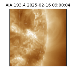 saia - 2025-02-16T09:00:04.843000