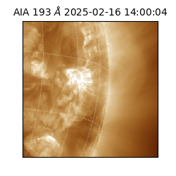 saia - 2025-02-16T14:00:04.843000