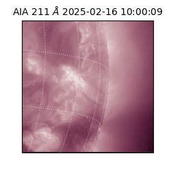 saia - 2025-02-16T10:00:09.631000