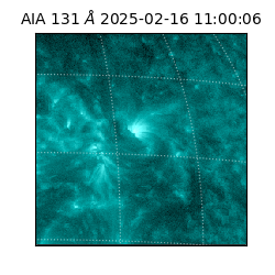 saia - 2025-02-16T11:00:06.622000