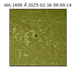 saia - 2025-02-16T09:00:14.125000