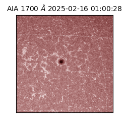 saia - 2025-02-16T01:00:28.720000