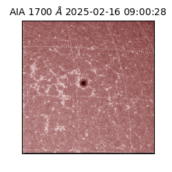 saia - 2025-02-16T09:00:28.720000