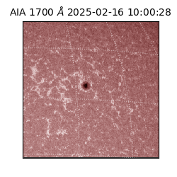 saia - 2025-02-16T10:00:28.720000