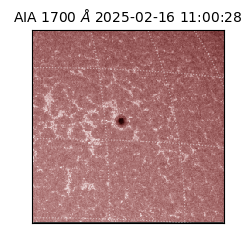 saia - 2025-02-16T11:00:28.720000