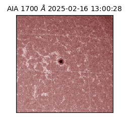 saia - 2025-02-16T13:00:28.736000