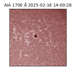 saia - 2025-02-16T14:00:28.720000