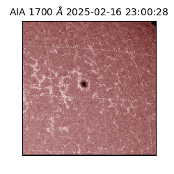 saia - 2025-02-16T23:00:28.717000