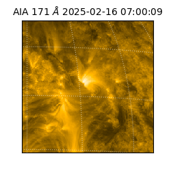 saia - 2025-02-16T07:00:09.350000