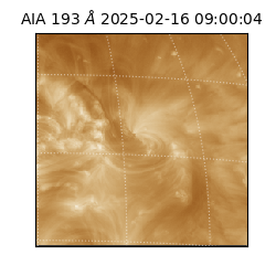 saia - 2025-02-16T09:00:04.843000