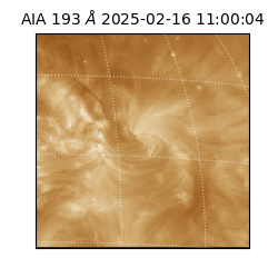 saia - 2025-02-16T11:00:04.843000