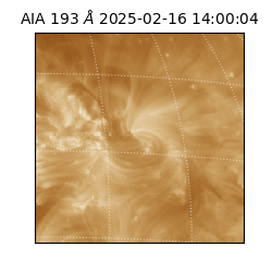 saia - 2025-02-16T14:00:04.843000