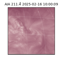 saia - 2025-02-16T10:00:09.631000