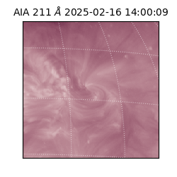 saia - 2025-02-16T14:00:09.631000