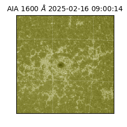 saia - 2025-02-16T09:00:14.125000