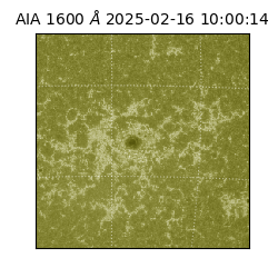 saia - 2025-02-16T10:00:14.125000