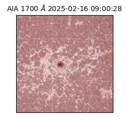 saia - 2025-02-16T09:00:28.720000